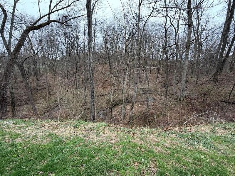 2630 Wilhelm Road, Chandlersville, OH 43727 Photo 34