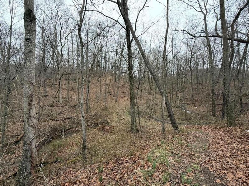 2630 Wilhelm Road, Chandlersville, OH 43727 Photo 36