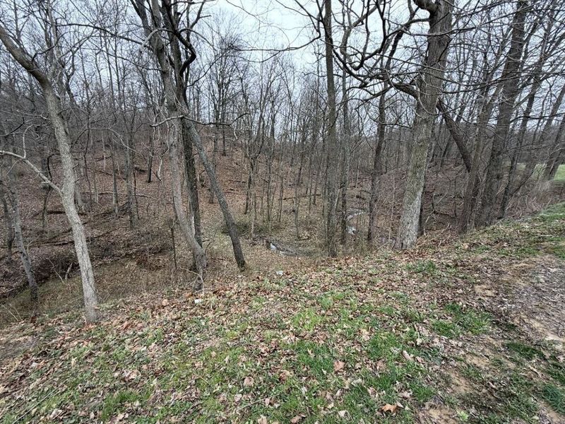 2630 Wilhelm Road, Chandlersville, OH 43727 Photo 38