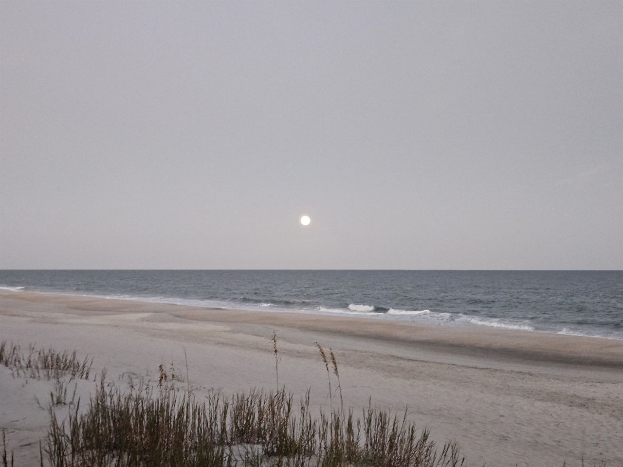 28 Thrasher Ct. Photo 55