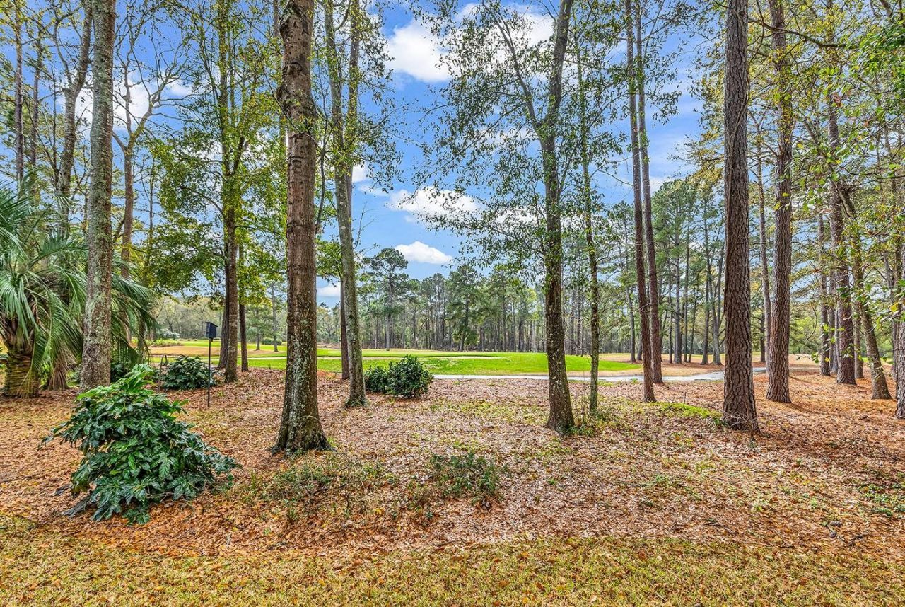 28 Thrasher Ct. Photo 6