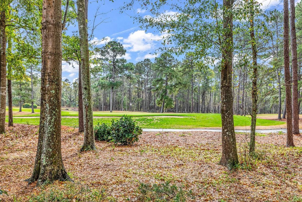 28 Thrasher Ct. Photo 7