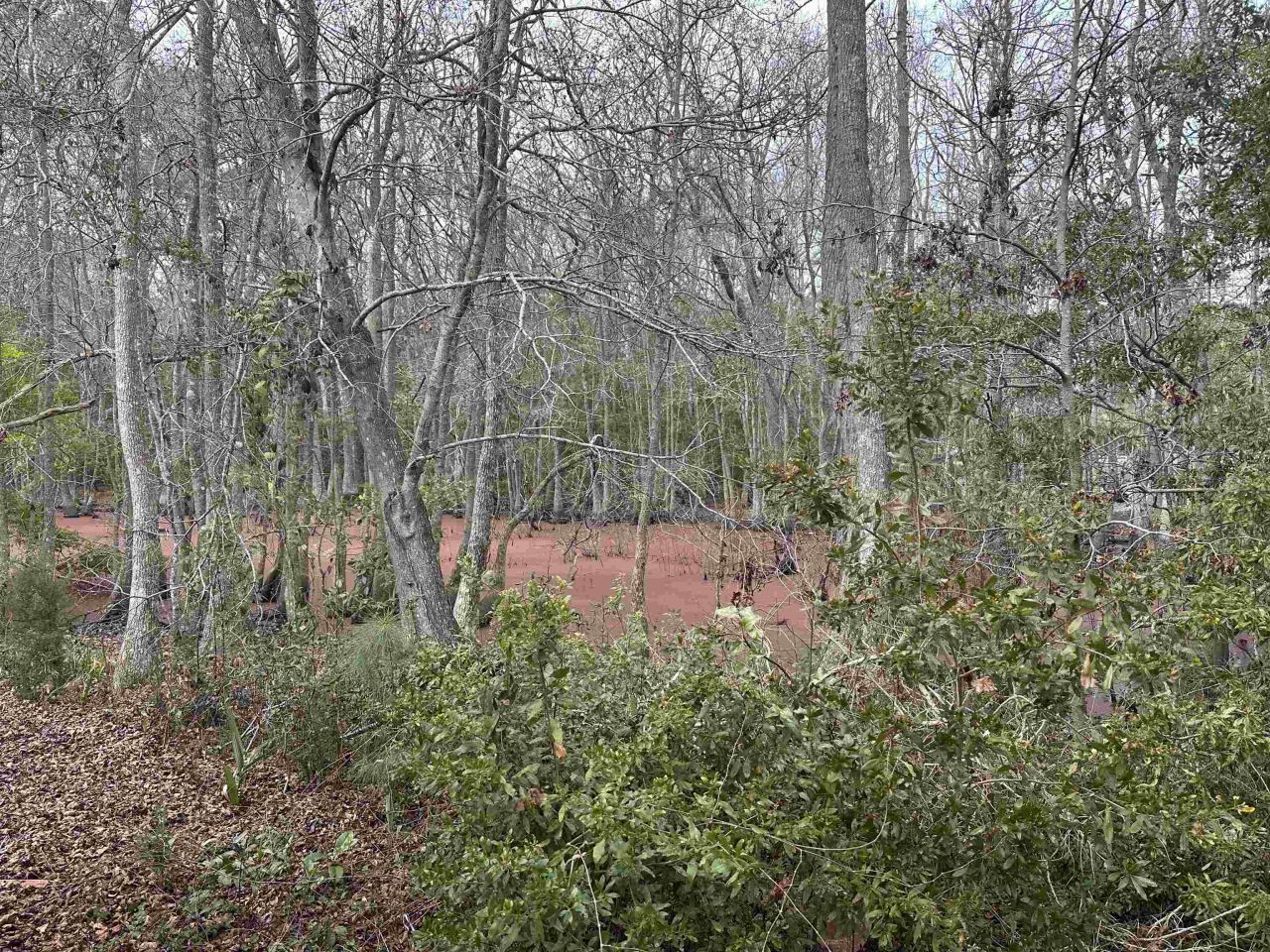 5400 Little River Neck Rd. Photo 13