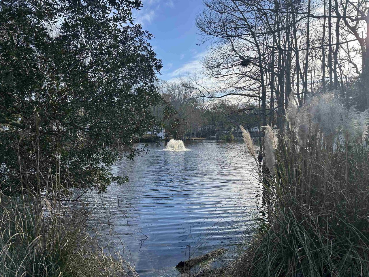 5400 Little River Neck Rd. Photo 18