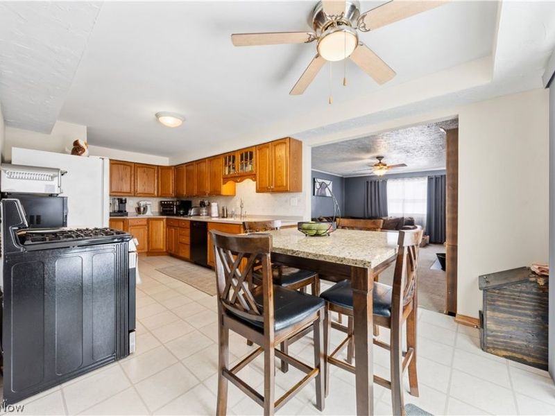 6040 Reynolds Road, Mentor on the Lake, OH 44060 Photo 10