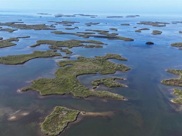 CRYSTAL RIVER, FL 34429