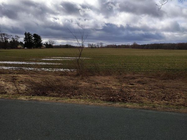 0 Barnes Road, Eaton Rapids, MI 48827