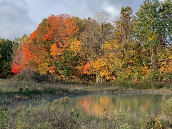 V/L Hidden Creek Trail, Unit C, Hamilton, MI 49419