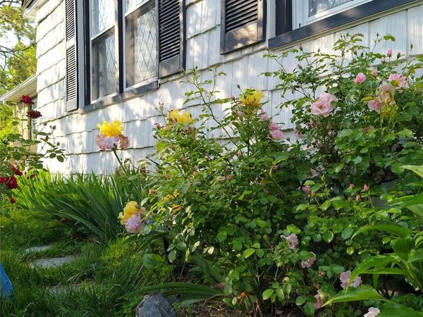 1155 Webster Avenue , New Rochelle, NY 10804