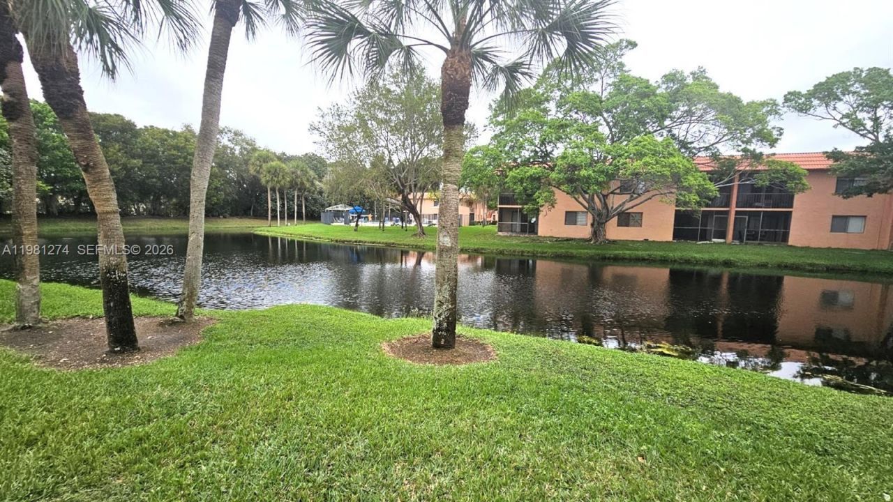 305 Lakeview Dr , Unit 101, Weston, FL 33326 Photo