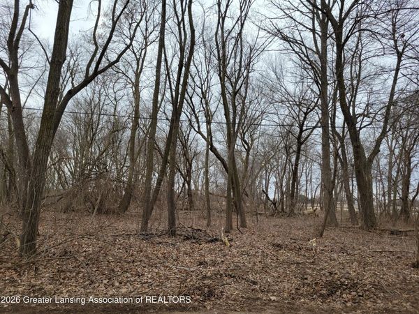 0000 E M21 , Ovid, MI 48866