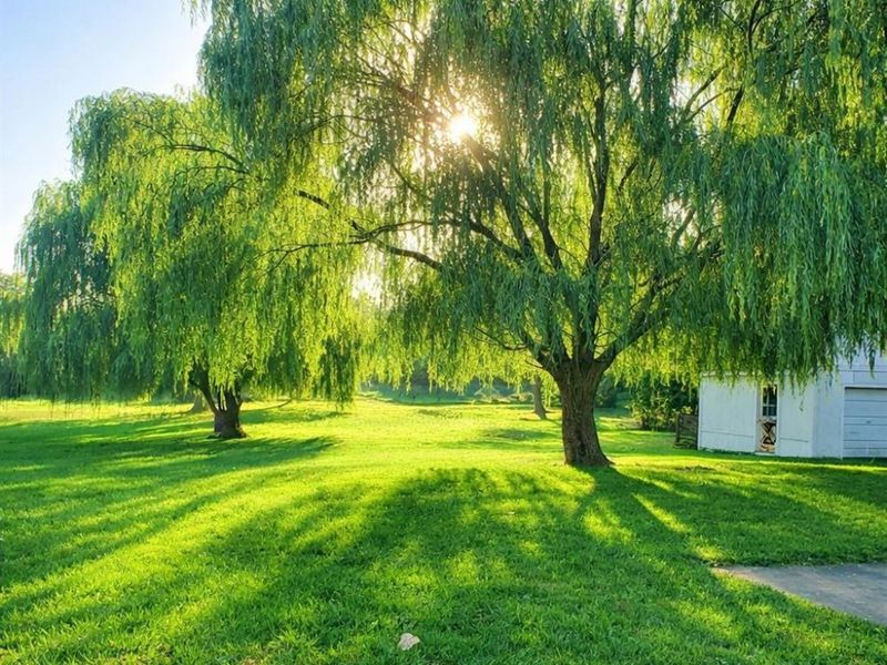 5420 SCHENK Road, Sandusky, OH 44870 Photo 3