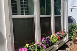 965 Warrick Oaks Lane photo 4