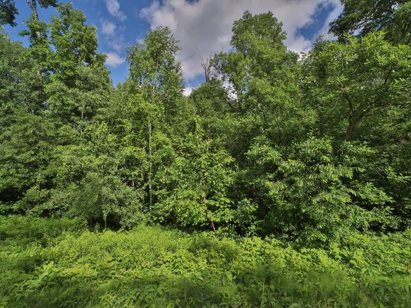 TBD Percheron Drive, Breezy Point, MN 56472