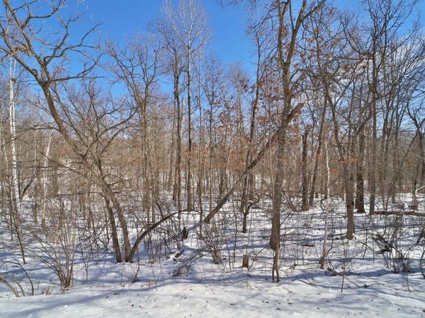 TBD Percheron Drive , Breezy Point, MN 56472