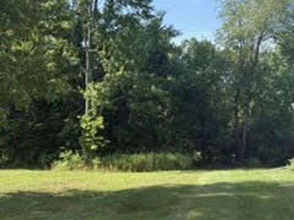 1552 Lytell Johnes Path, Williamston, MI 48895