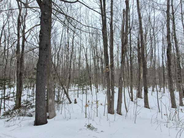 M14 L39 Sandy Point Road, Vassalboro, ME 04989