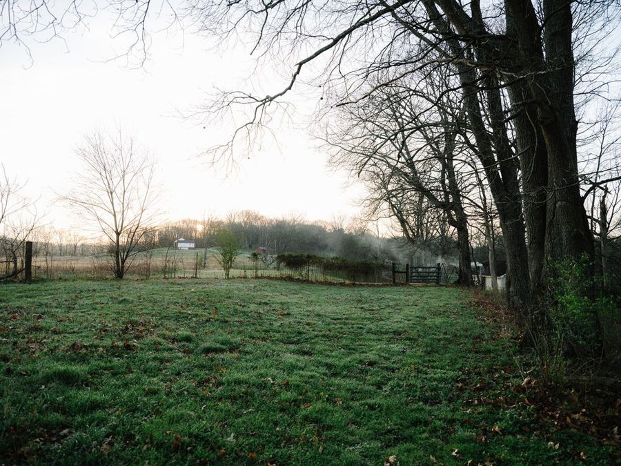 Property Image 44