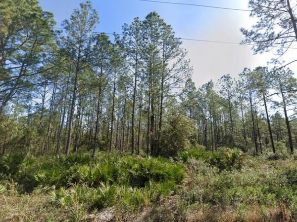 10620 BECKENGER AVENUE , HASTINGS, FL 32145