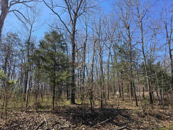 L23 B2 West Lake Addn, Ozark Acres, AR 72482