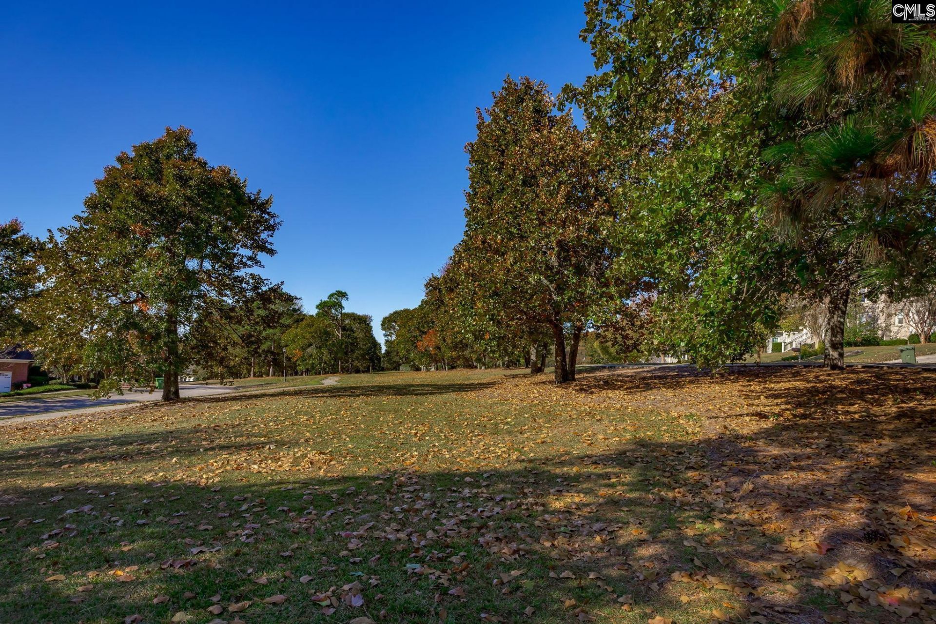 117 Parish Walk Photo 81