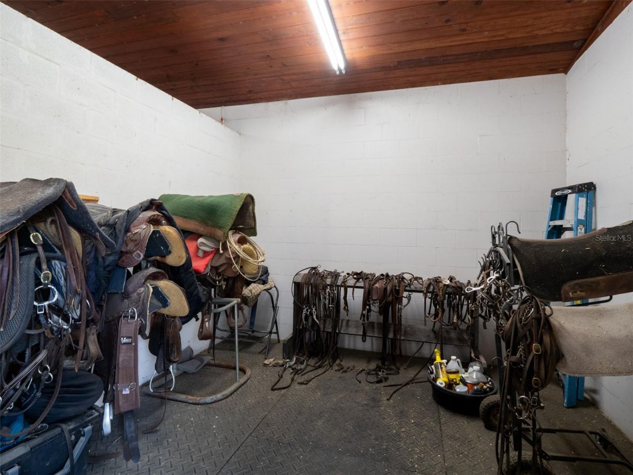 4986 SW 7th Avenue Road, Ocala, FL 34471 Photo