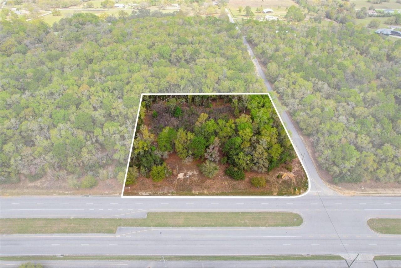 161 W Norvell Bryant Highway, Hernando, FL 34442 Photo