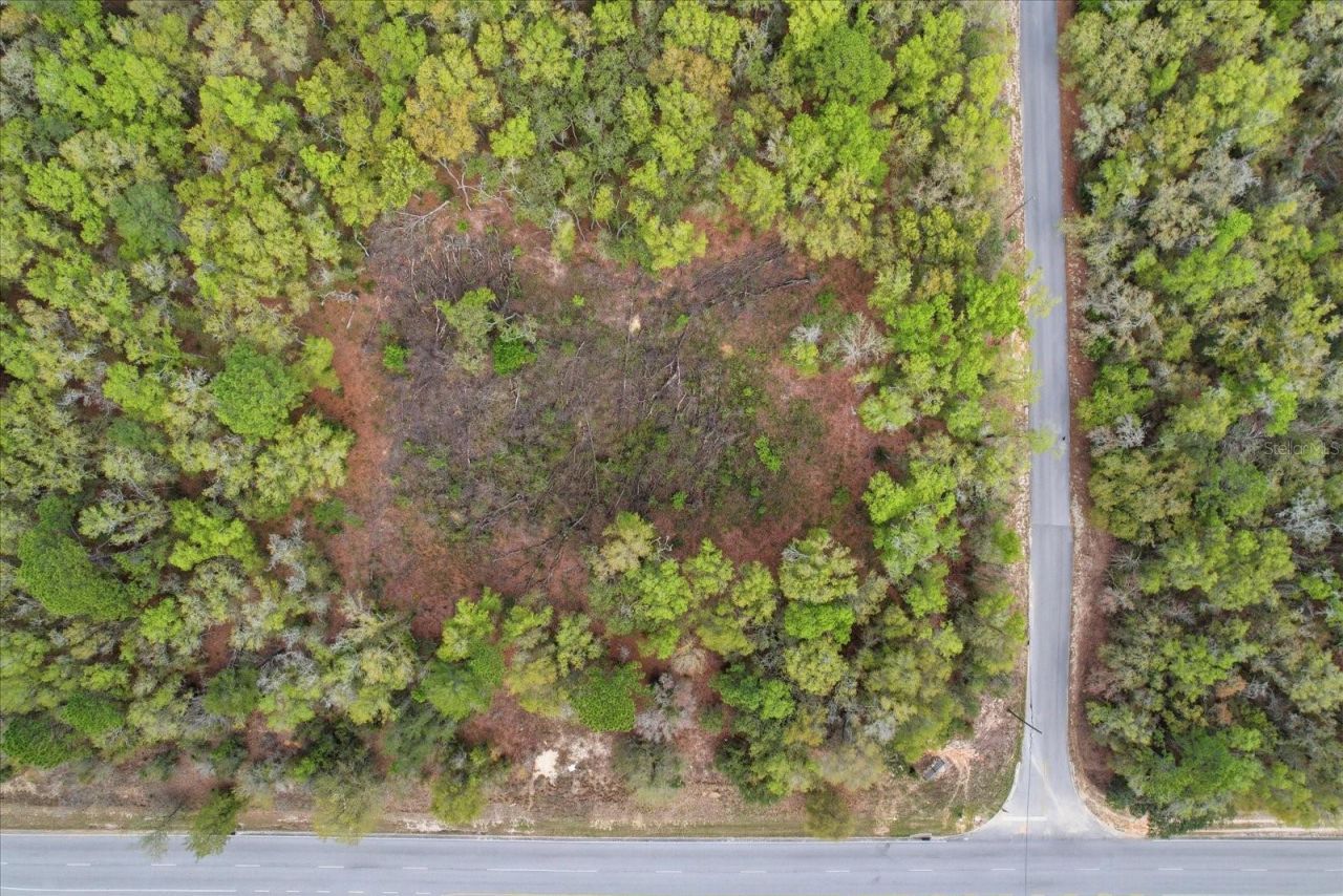 161 W Norvell Bryant Highway, Hernando, FL 34442 Photo