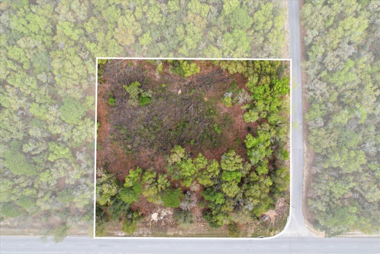 161 W Norvell Bryant Highway, Hernando, FL 34442 Photo