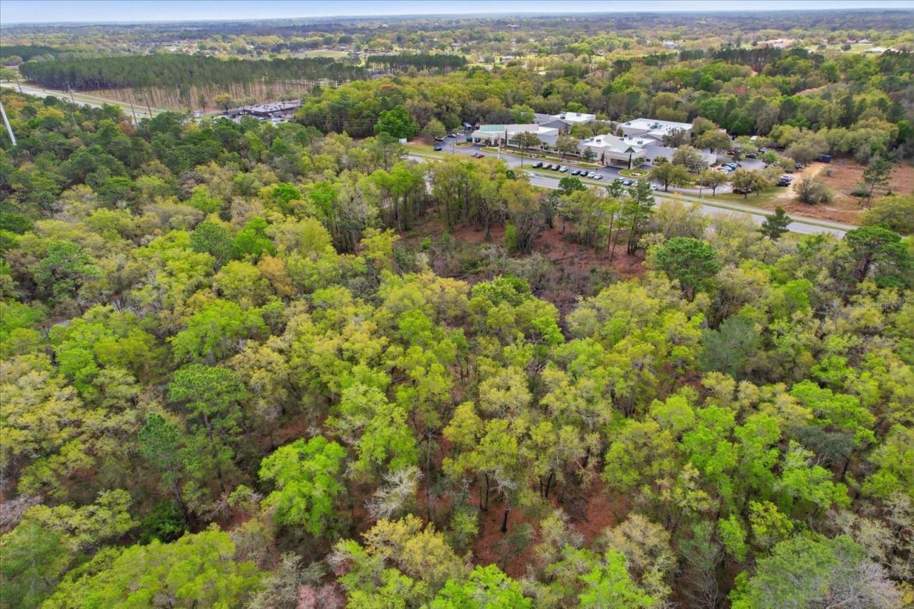 161 W Norvell Bryant Highway, Hernando, FL 34442 Photo