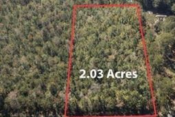 4950 Assembly Ln. photo 4