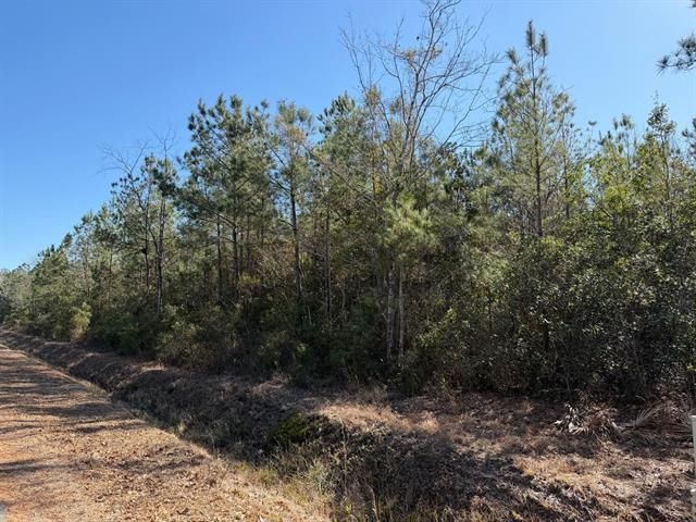 4950 Assembly Ln. Photo 5