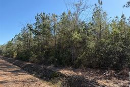 4950 Assembly Ln. photo 4