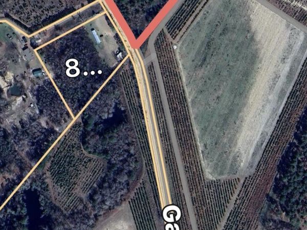0 Gary Barnard Road, Unit LOT #8, Cobbtown, GA 30420