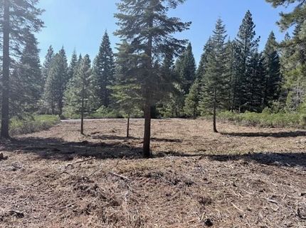108 Fox Peak Drive, Lot #FG, Lake Almanor, CA 00000 Photo