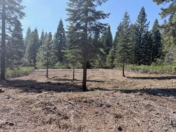 108 Fox Peak Drive, Unit FG, Lake Almanor, CA 00000