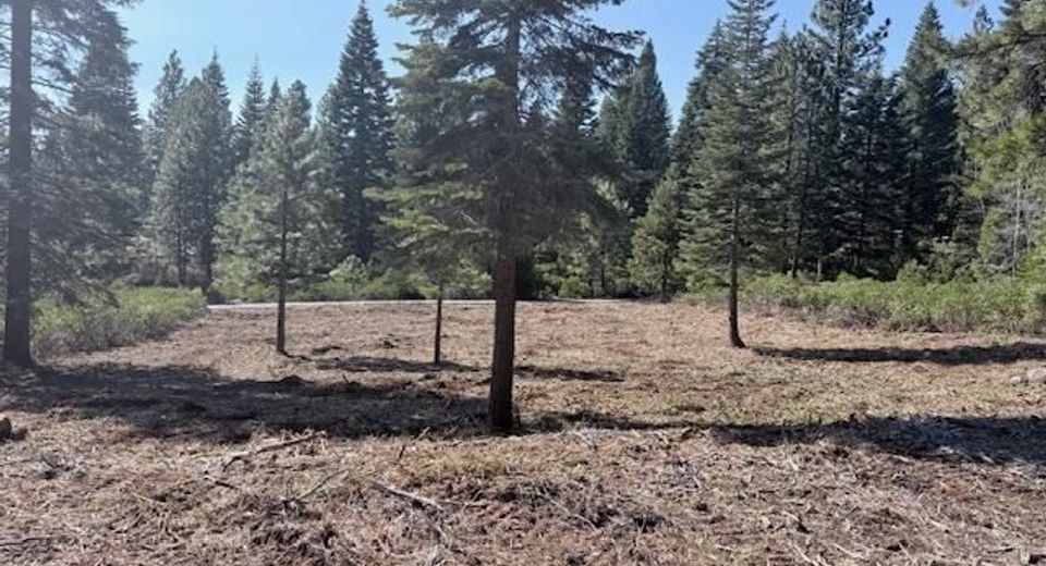 108 Fox Peak Drive, Lot #FG, Lake Almanor, CA 00000 Photo
