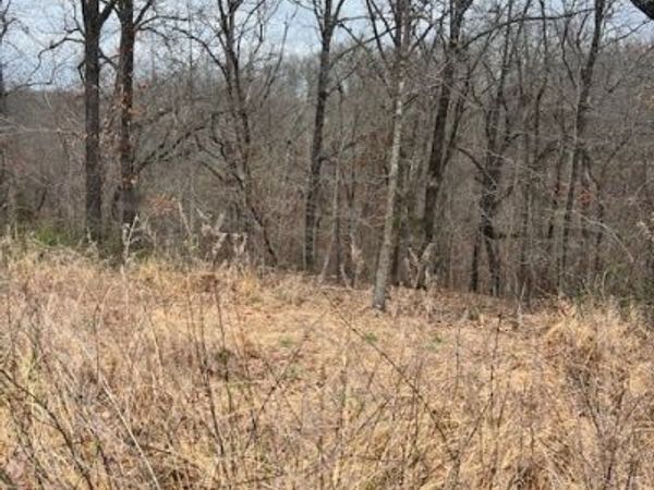 Sanquhar Lane , Bella Vista, AR 72715