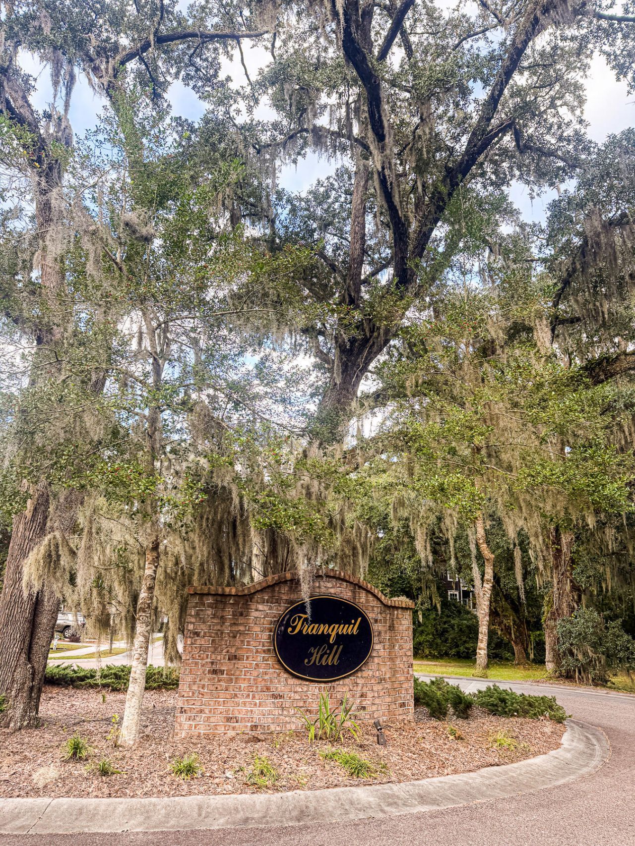 9227 Southern Oak Lane Photo 30