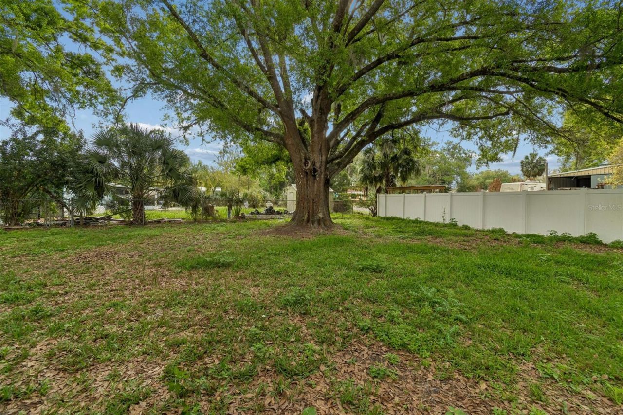 4505 Estate Drive, Plant City, FL 33567 Photo