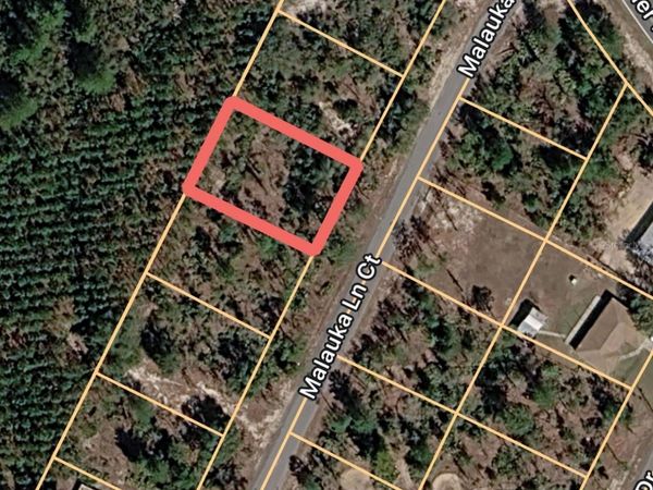MALAUKA LANE COURT , OCKLAWAHA, FL 32179