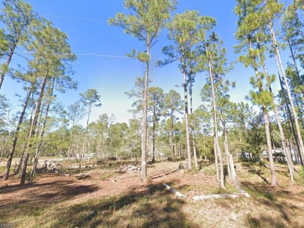 4335 THERESA STREET , HASTINGS, FL 32145