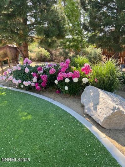 1777 N Winnie Lane, Carson City, NV 89703 Photo