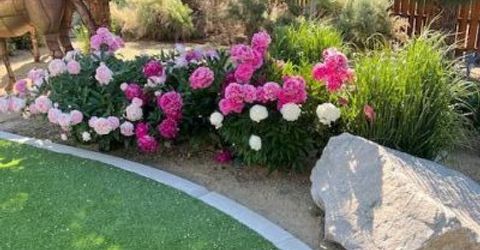 1777 N Winnie Lane, Carson City, NV 89703 Photo