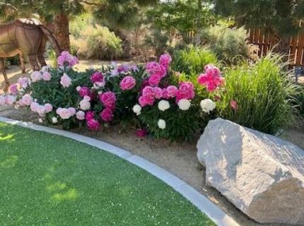 1777 N Winnie Lane, Carson City, NV 89703 Photo