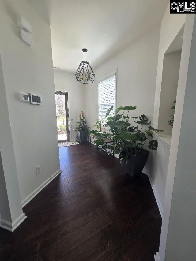 247 Ashewicke Drive  Photo 12