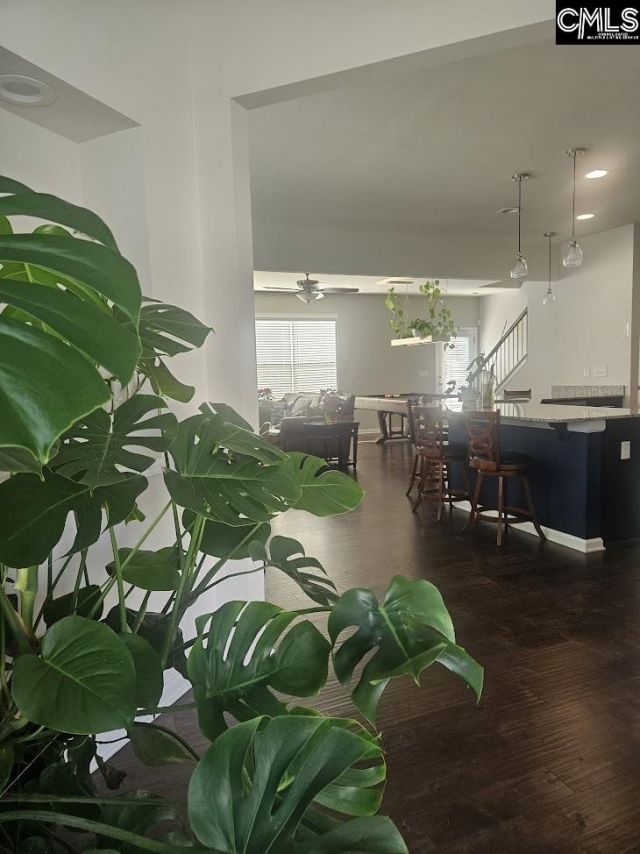 247 Ashewicke Drive  Photo 13