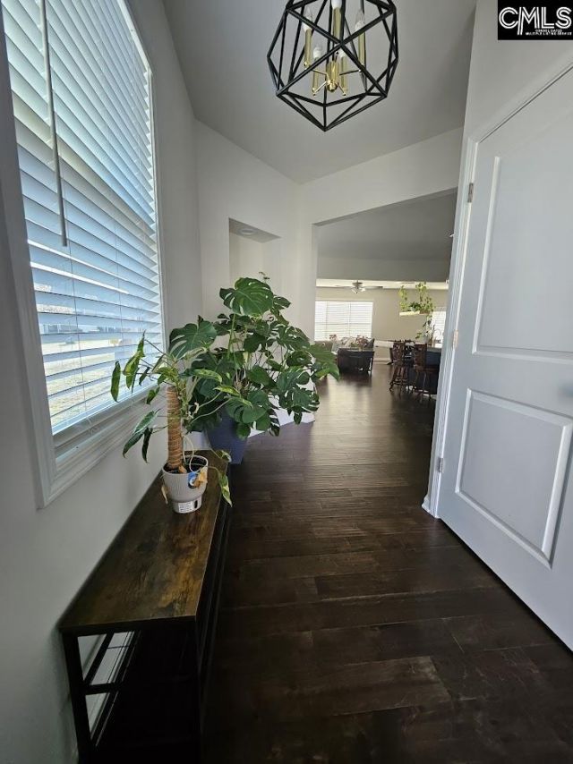 247 Ashewicke Drive  Photo 14