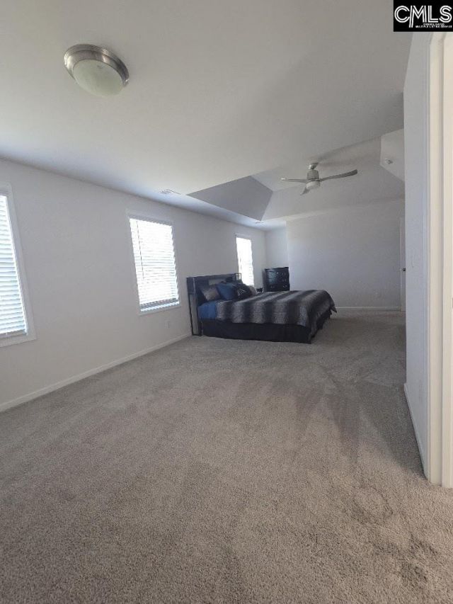 247 Ashewicke Drive  Photo 78