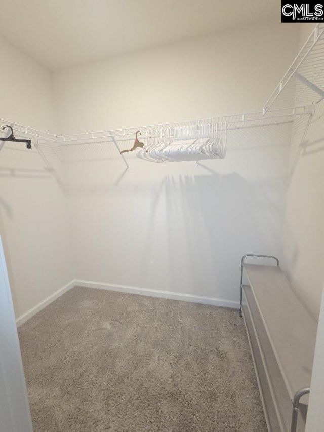 247 Ashewicke Drive  Photo 81